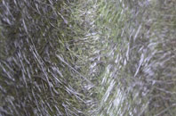 Leamington Hastings fibreglass roof work